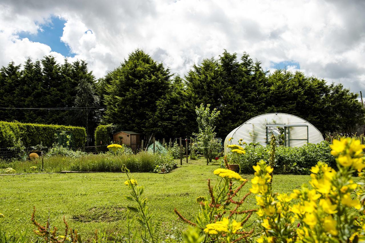 Peartree Hill Bed & Breakfast Dundonald  Dış mekan fotoğraf