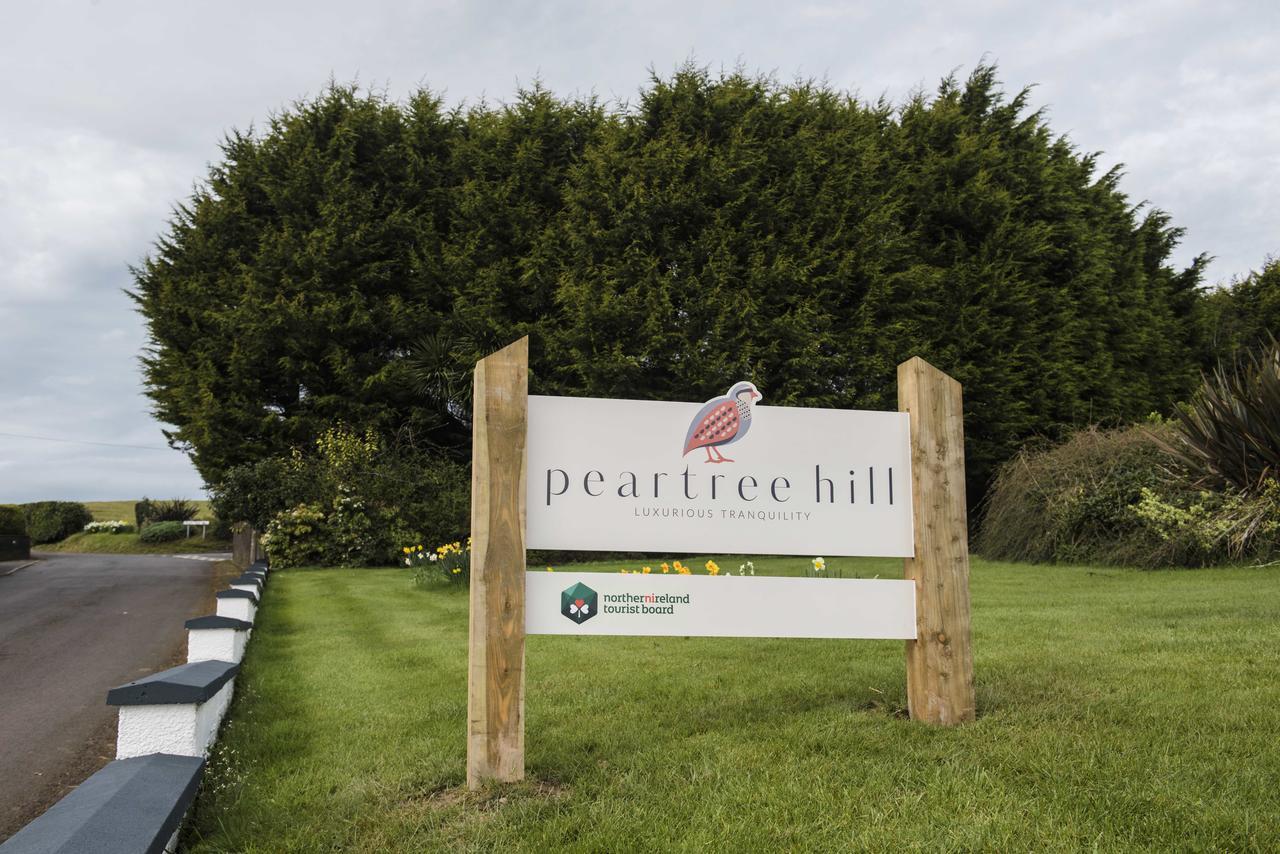 Peartree Hill Bed & Breakfast Dundonald  Dış mekan fotoğraf